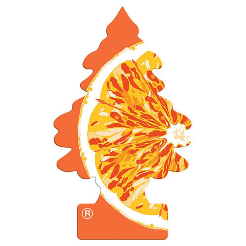Wunder-Baum lõhnakuusk Orange juice (apelsin)