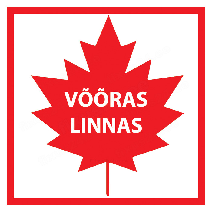 Autotähis "Võõras linnas" 1tk kartong